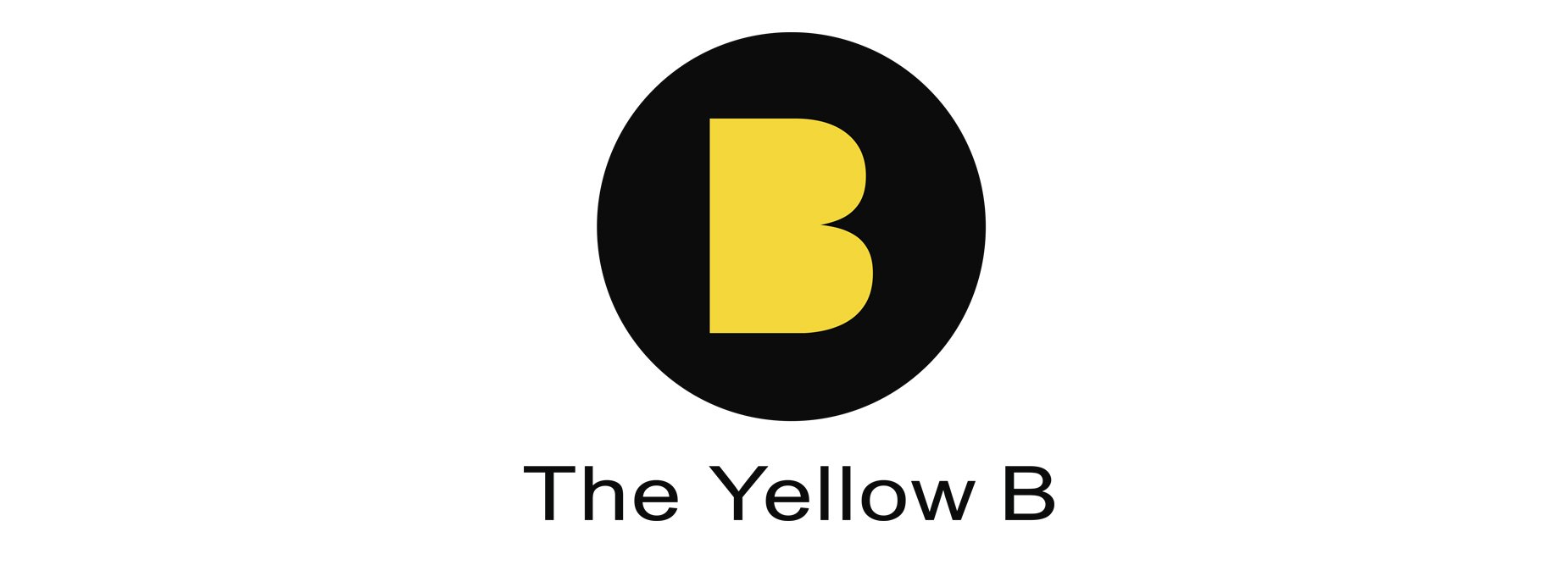 the yellow b para landing-1